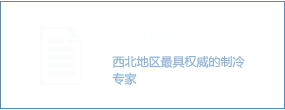 公司概括