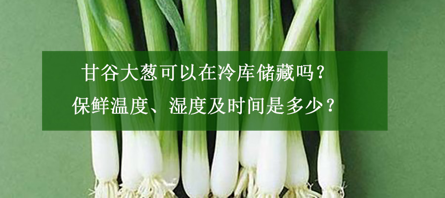 甘谷大蔥可以在冷庫儲(chǔ)藏嗎？保鮮溫度、濕度及時(shí)間是多少？