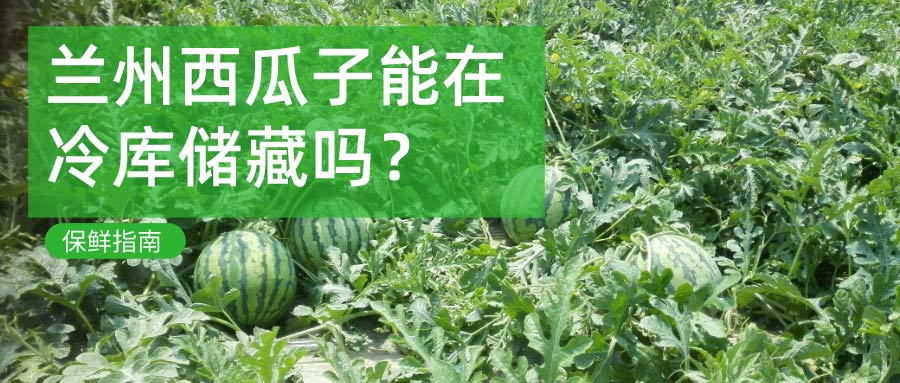 蘭州西瓜冷庫儲(chǔ)藏