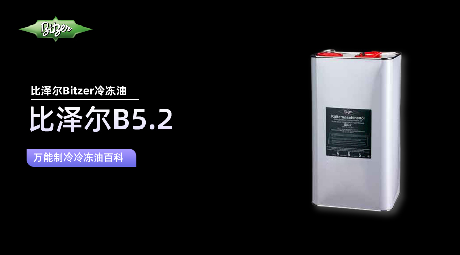 比澤爾B5.2百科知識介紹