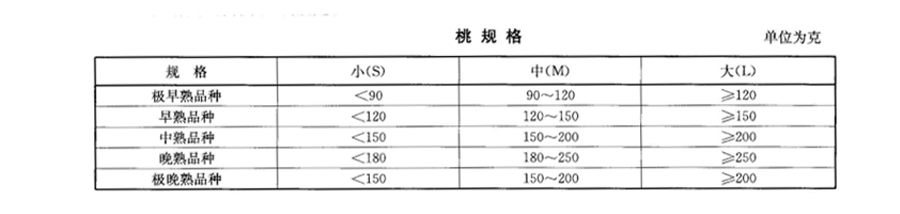 桃子大小規格標準