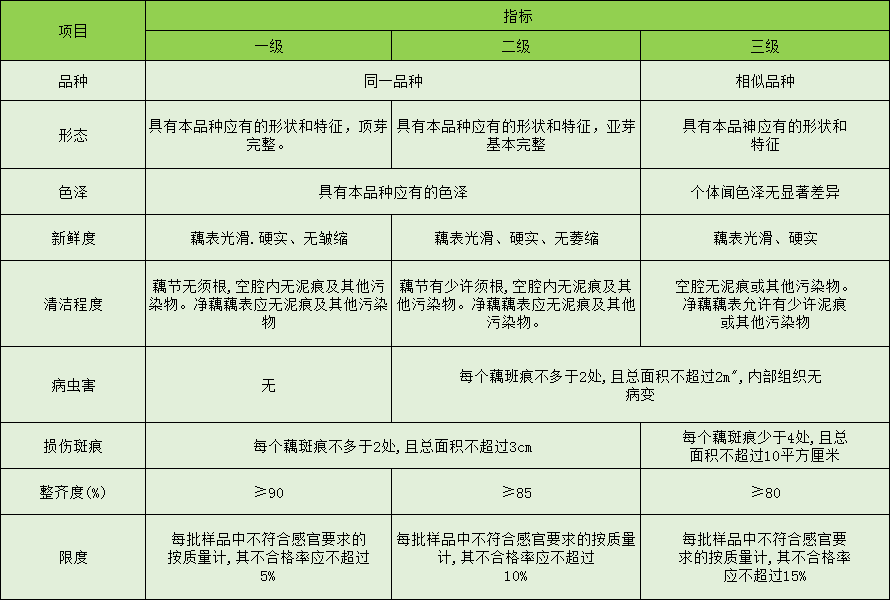 蓮藕放冷庫前分級標準