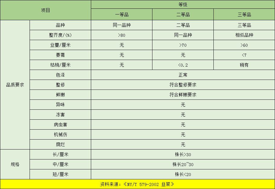 韭菜入冷庫前的分級標準