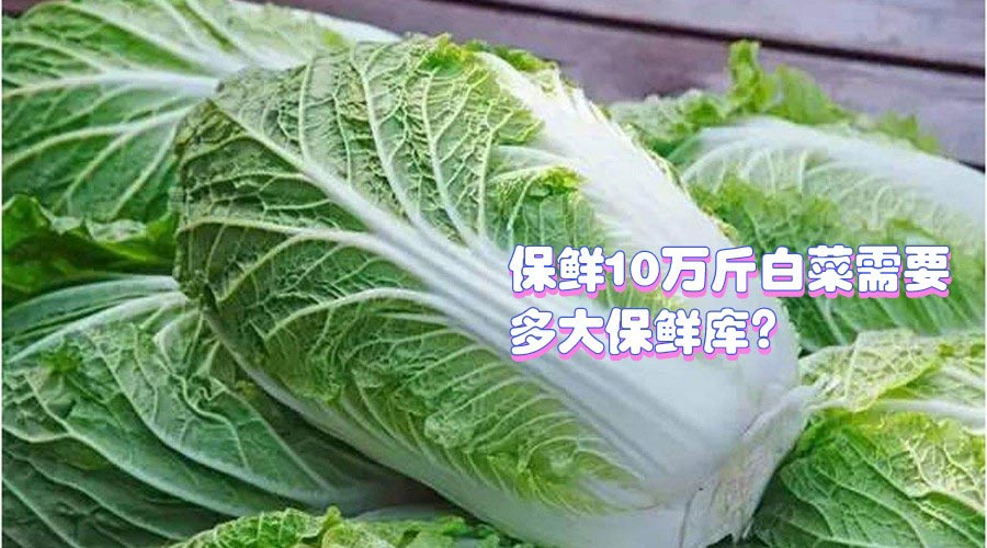 保鮮10萬斤白菜需要多大保鮮庫?