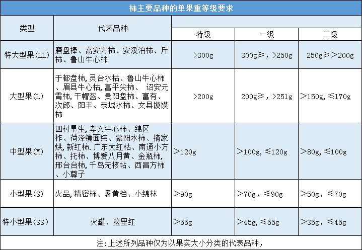 柿果單果重量分級