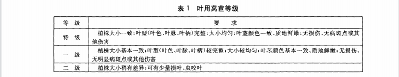 生菜（葉用萵苣）等級參考標準