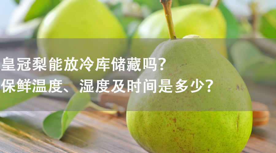 皇冠梨能在冷庫(kù)儲(chǔ)藏嗎？保鮮溫度、濕度及時(shí)間是多少？