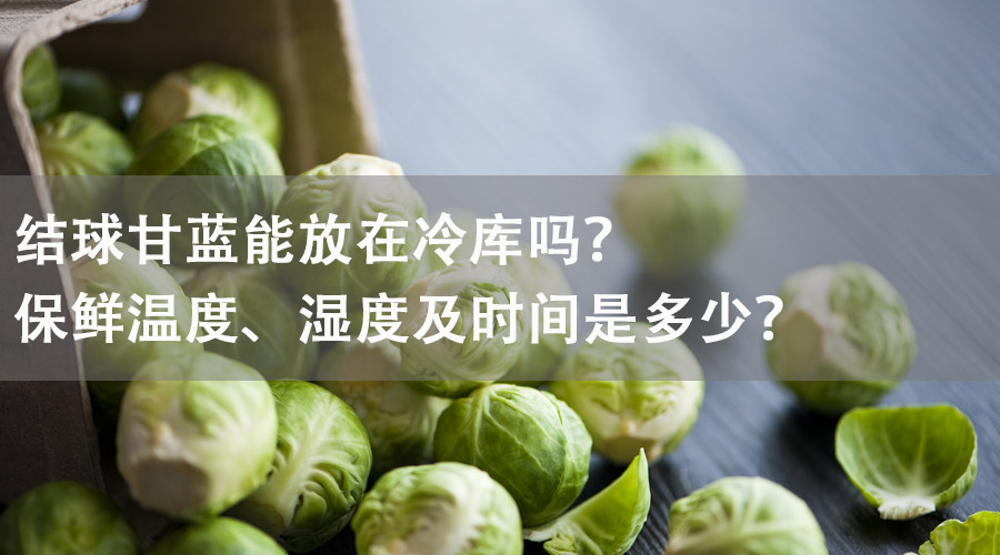 結(jié)球甘藍能放在冷庫嗎？保鮮溫度、濕度及時間是多少？