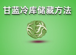 包菜（甘藍(lán)）冷庫儲藏技術(shù)分享，保鮮期可達(dá)3個(gè)月！